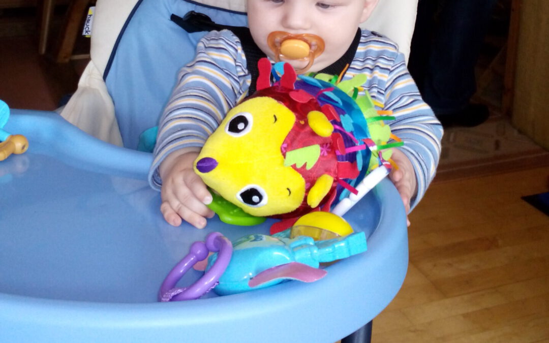 Entdecker-Tiere (Lamaze)